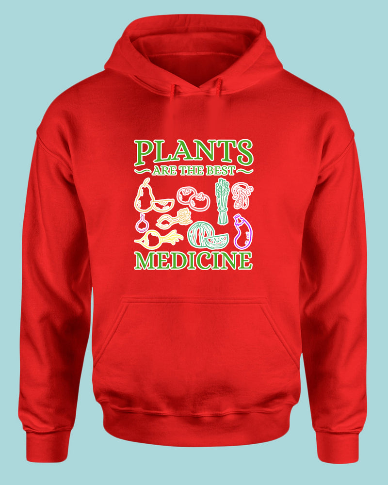 Planet Are The Best Medicine Hoodie, vegetarian Hoodie - Fivestartees