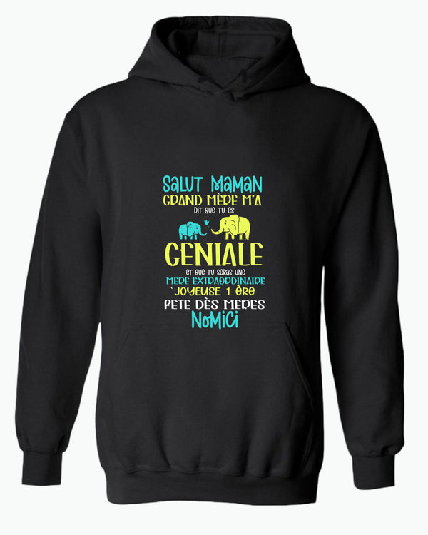 Salut maman grand mere m'a dit que tu es geniale hoodie, frenc hoodie, dad hoodies - Fivestartees