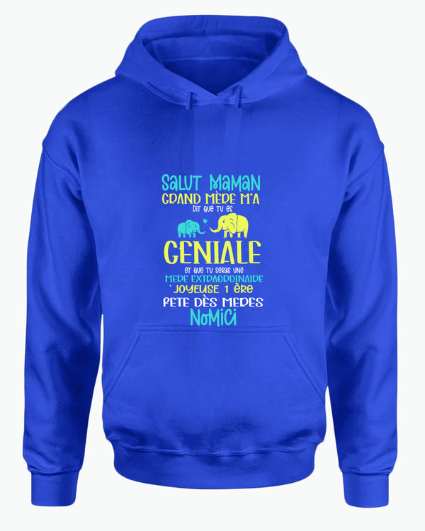 Salut maman grand mere m'a dit que tu es geniale hoodie, frenc hoodie, dad hoodies - Fivestartees