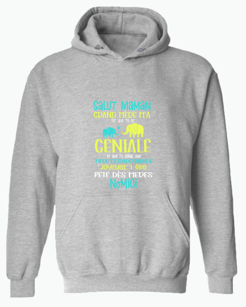 Salut maman grand mere m'a dit que tu es geniale hoodie, frenc hoodie, dad hoodies - Fivestartees