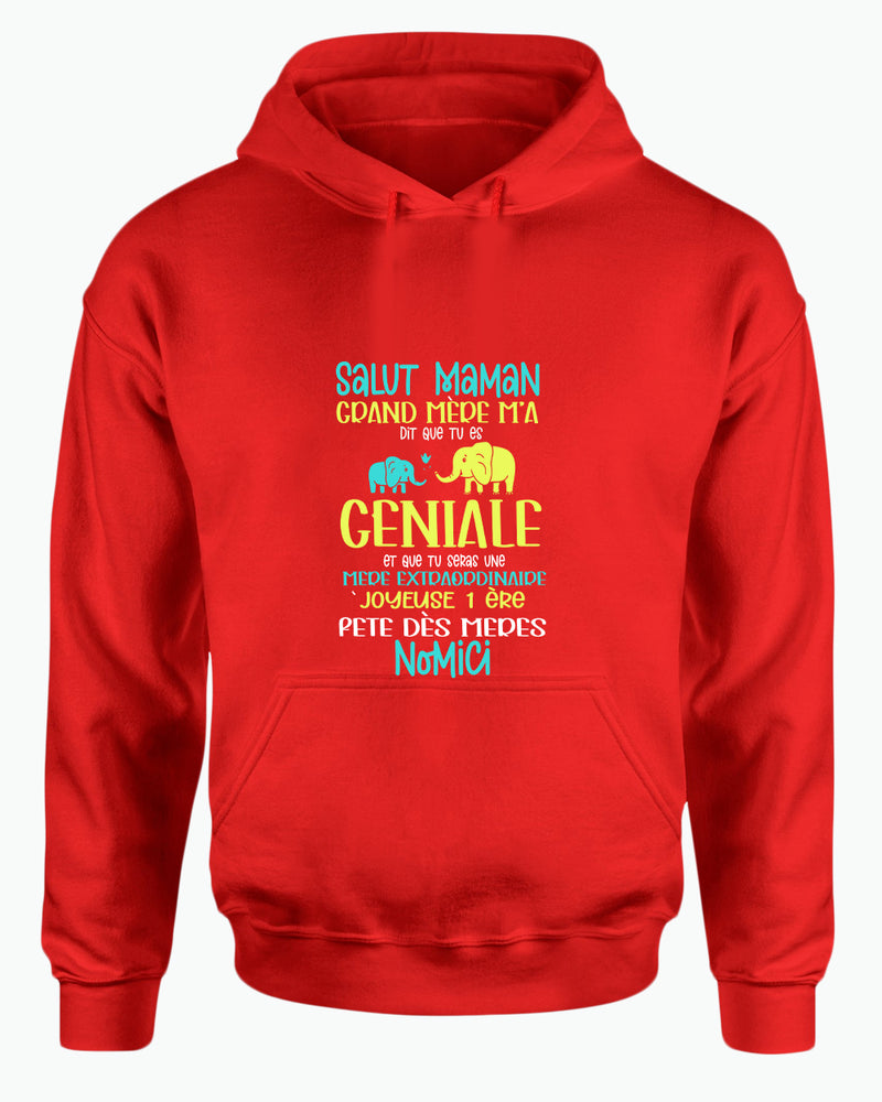 Salut maman grand mere m'a dit que tu es geniale hoodie, frenc hoodie, dad hoodies - Fivestartees