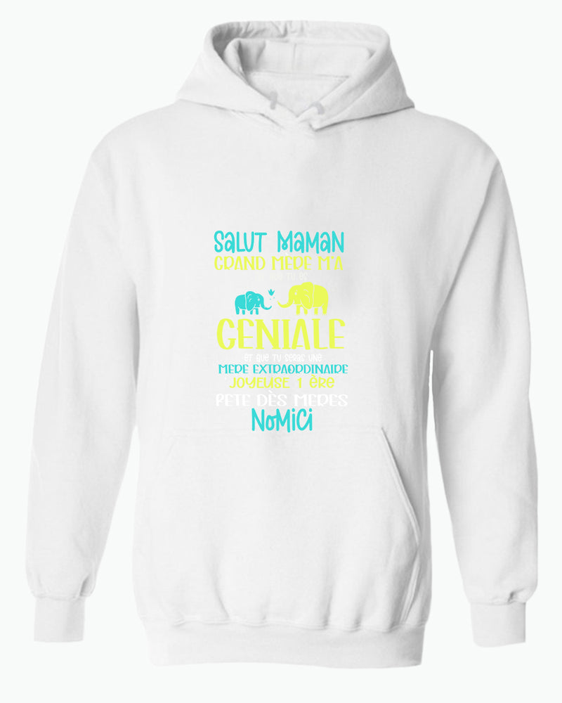 Salut maman grand mere m'a dit que tu es geniale hoodie, frenc hoodie, dad hoodies - Fivestartees
