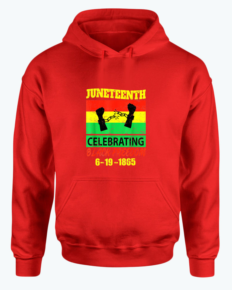 Celebrating black freedom hoodie - Fivestartees