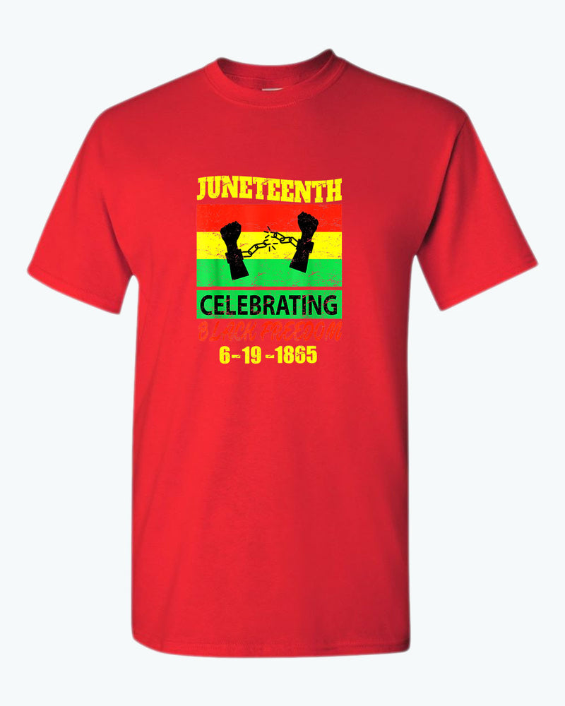 Celebrating black freedom t-shirt - Fivestartees